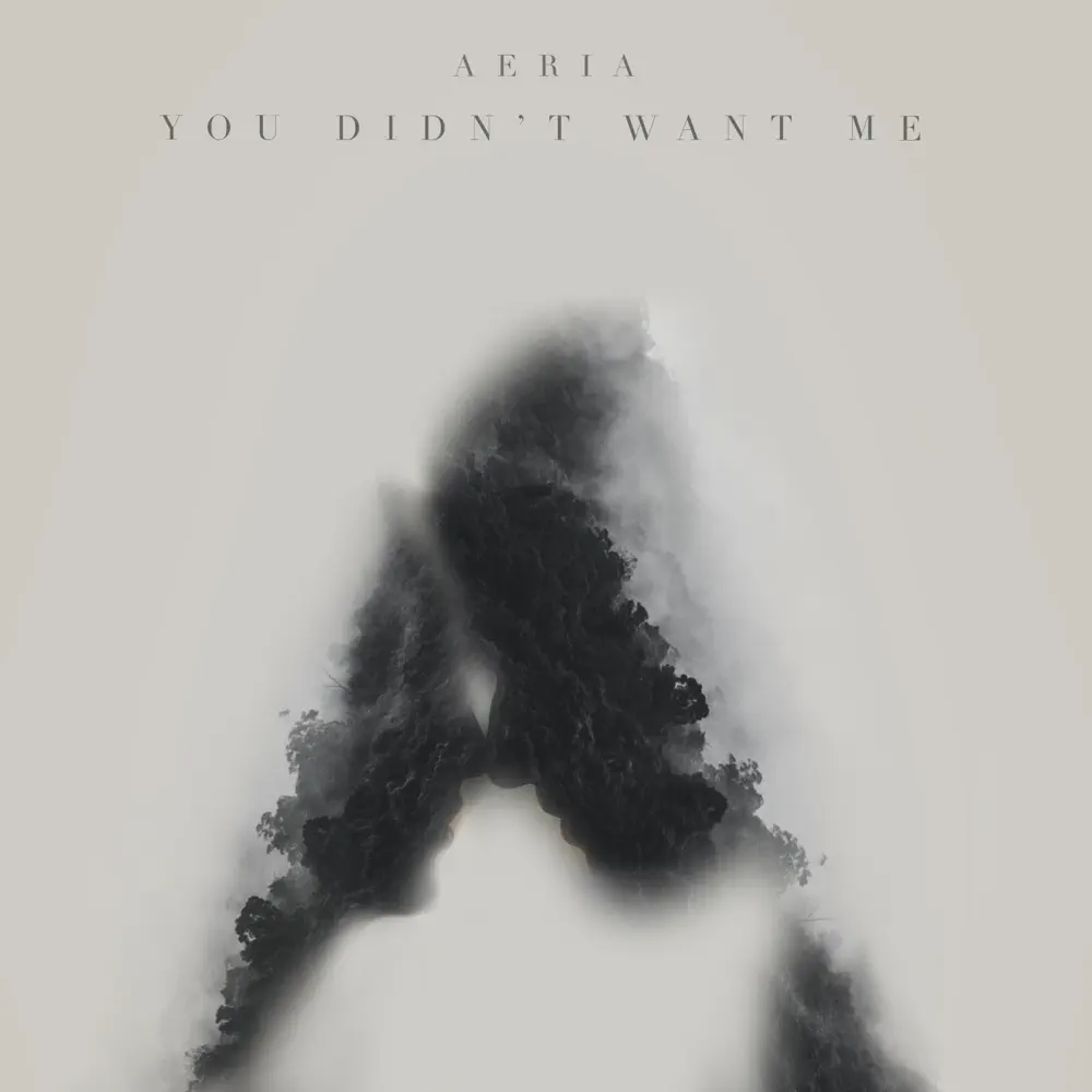 You Didn't Want Me Album Cover