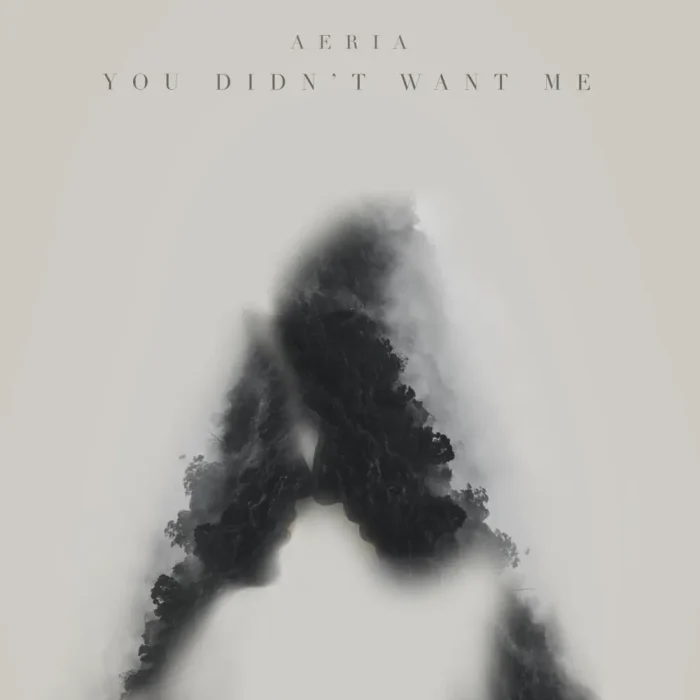 Aeria-You Didn't Want Me
